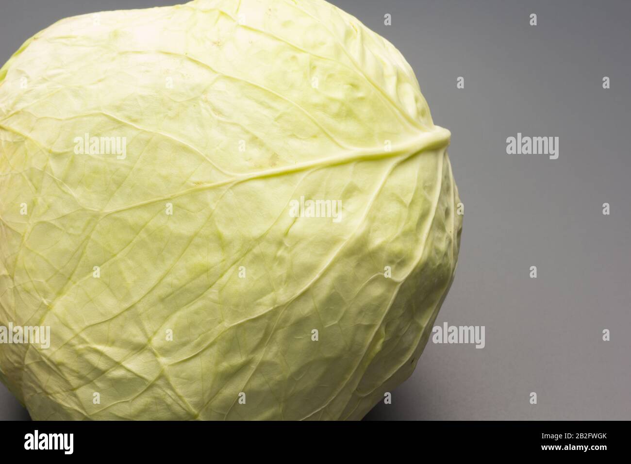 Frisch gepflegter Kohl aus dem Garten, Wintergemüse, gesund und ideal für vegetarische Mahlzeiten; Wintergerichte Stockfoto