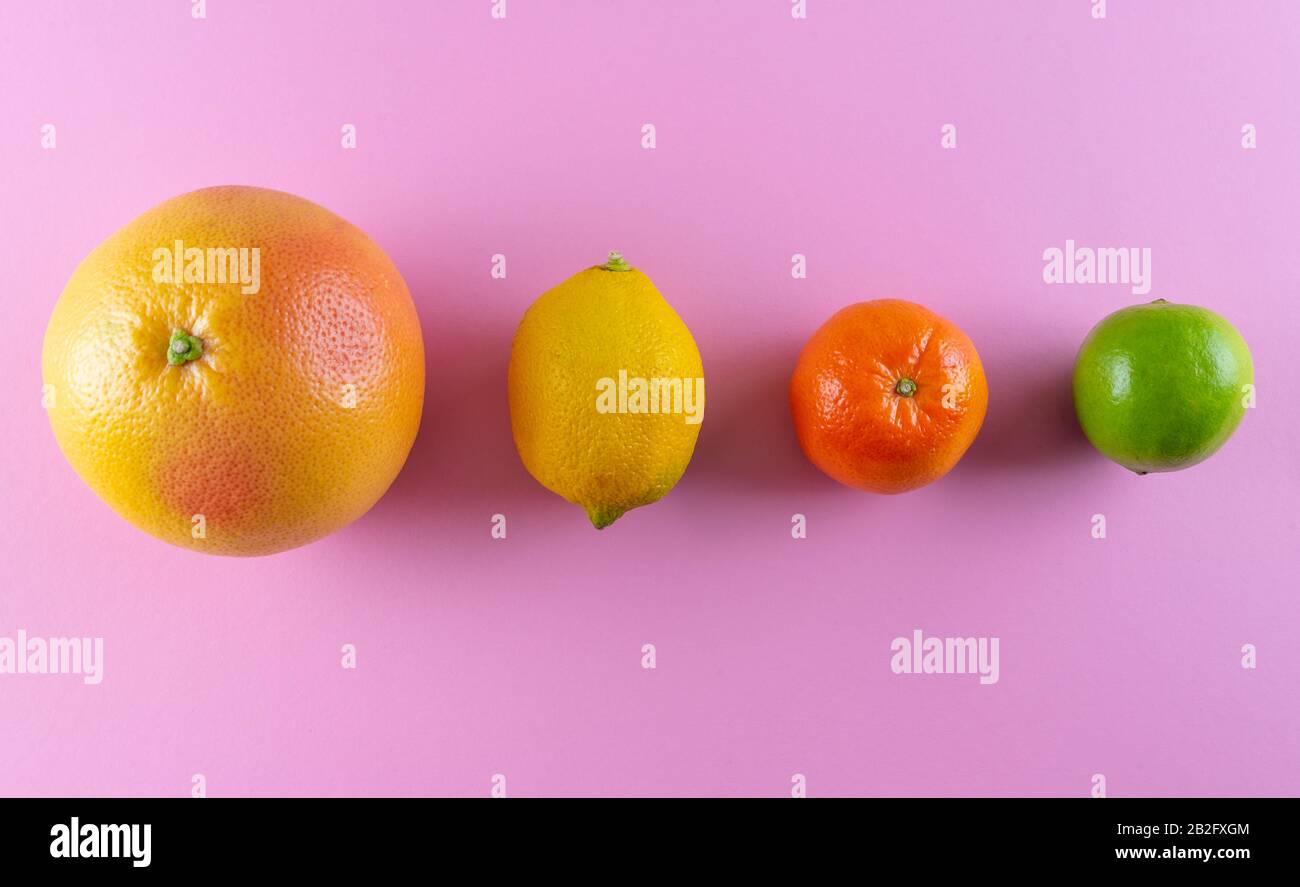 Draufsicht über verschiedene bunte Zitrusfrüchte in einer Reihe auf pinkfarbenem Hintergrund Stockfoto