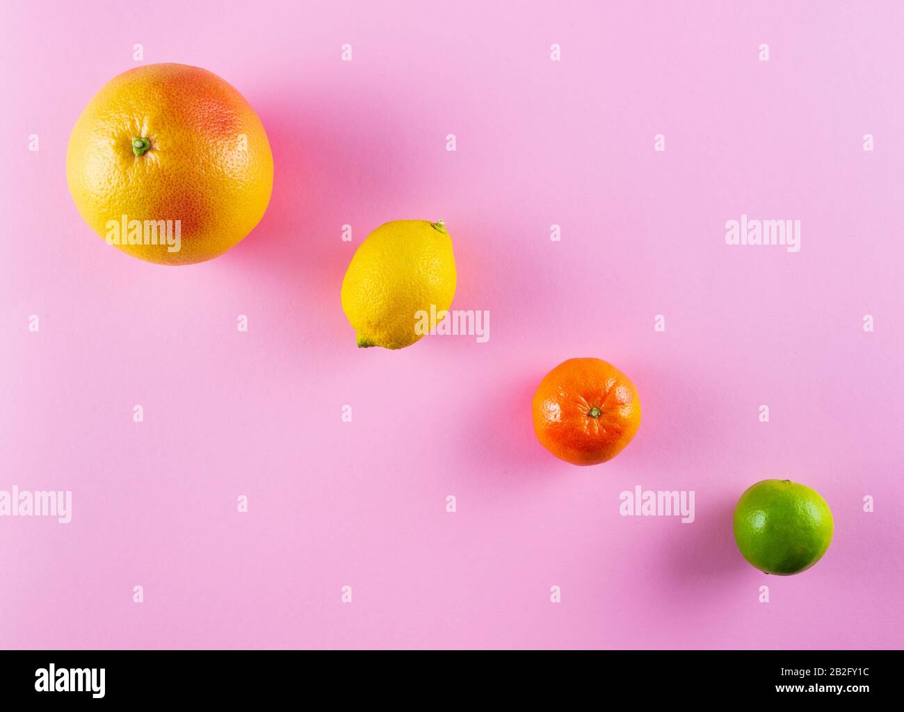 Draufsicht über verschiedene bunte Zitrusfrüchte in einer Reihe auf pinkfarbenem Hintergrund Stockfoto