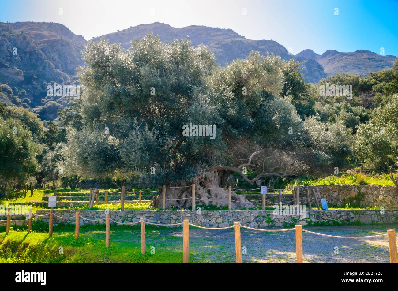 Kavousi crete greece -Fotos und -Bildmaterial in hoher Auflsung  Alamy