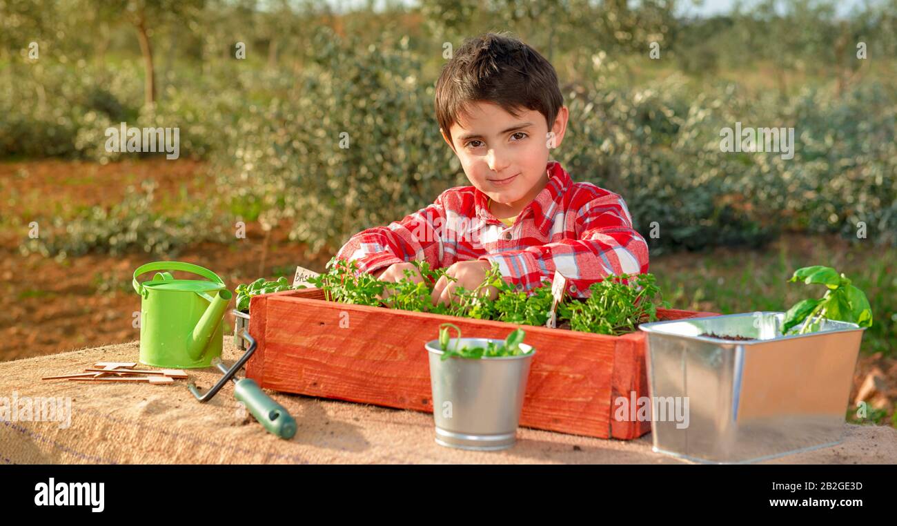 Das kleine Kind sät aromatische Pflanzen mitten auf dem Land Stockfoto