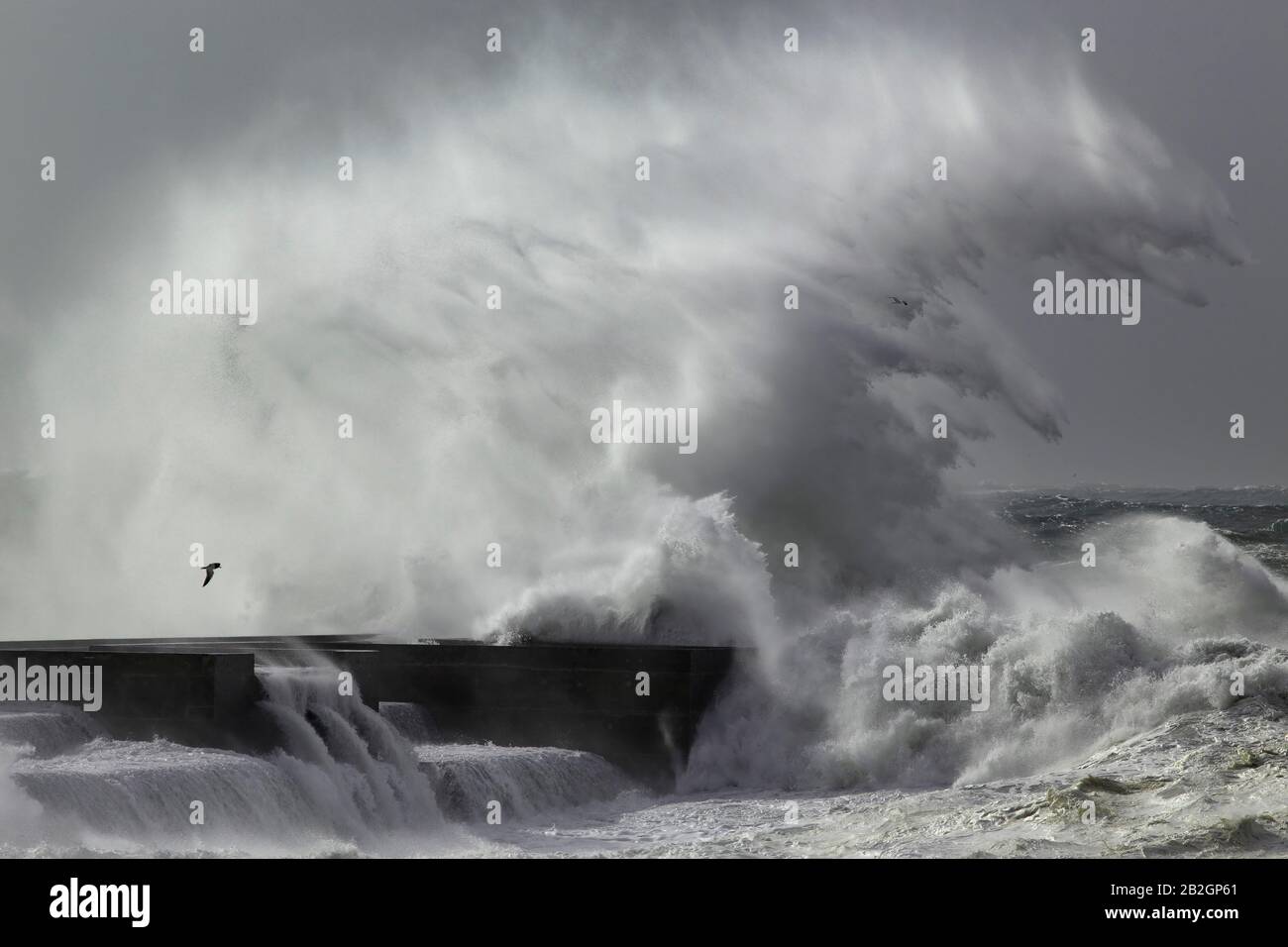 Große stürmische Welle spritzt. Flussmaulsteg Douro. Stockfoto