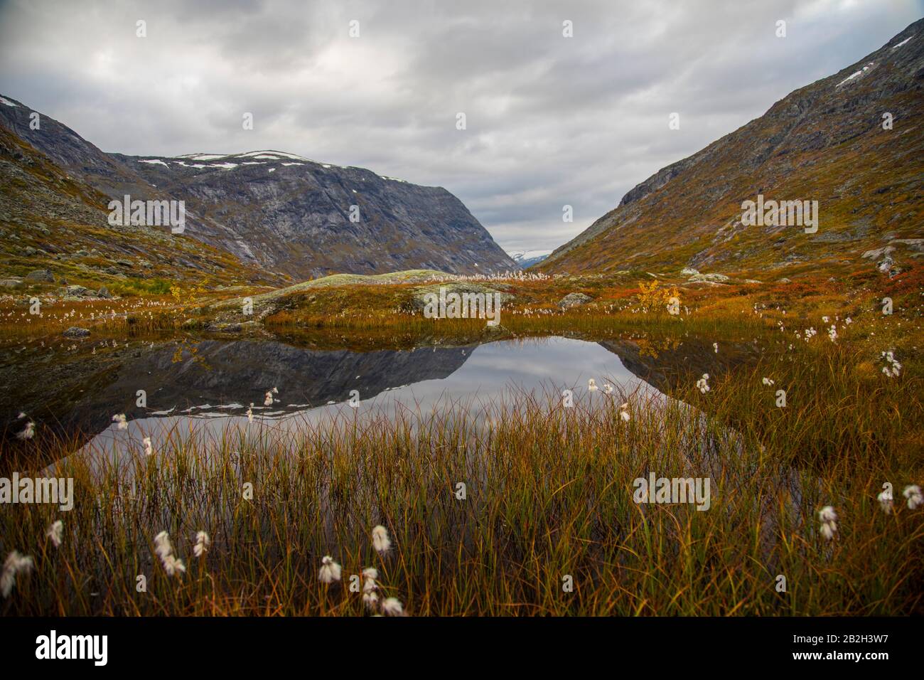 Schöne Farben rund um einen kleinen See in den norwegischen Bergen Stockfoto