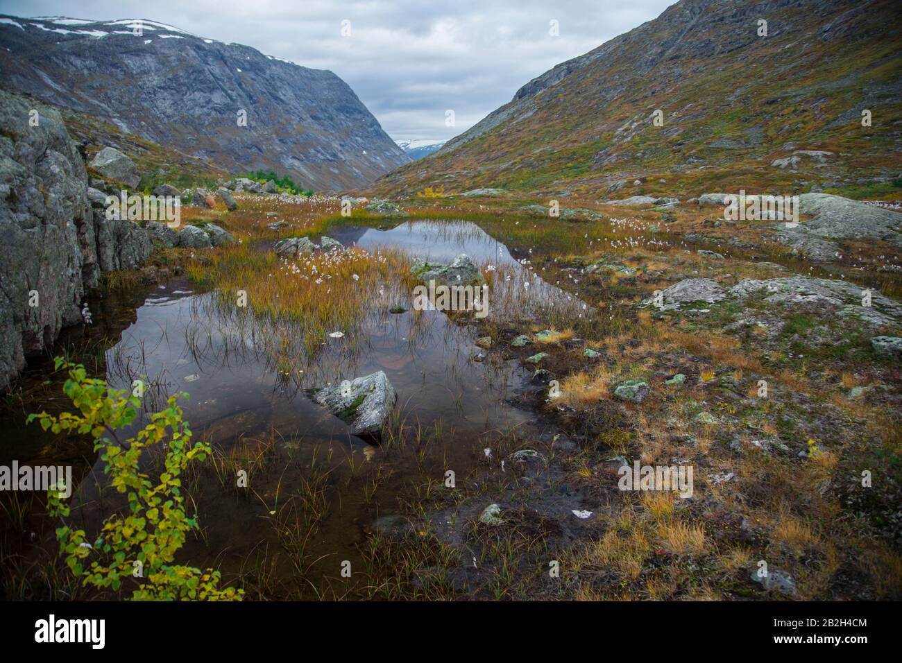 Schöne Farben rund um einen kleinen See in den norwegischen Bergen Stockfoto