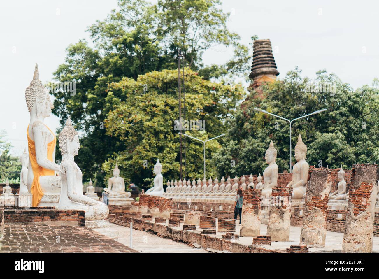 Anbetung von Thailand, Buddhastatue, Geschichte Thailands, Tempel der Buddhastatue der Provinz Ayutthaya. Ayutthaya Historical Park, Thailand Stockfoto