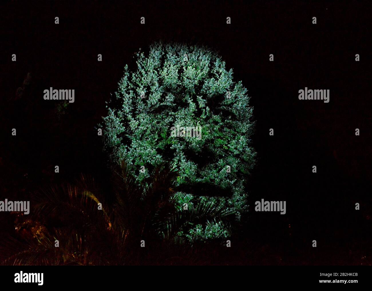 Sprechender Baum, Kaiser Karl IV., Karlsbad, stilsicheren Stockfoto