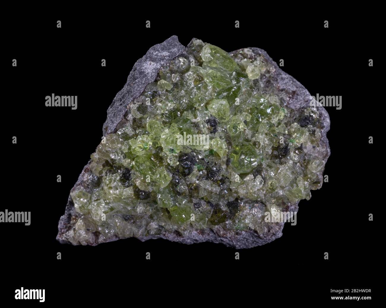 Gestein mit Peridot-Olivin-Mineral aus den USA isoliert auf einem reinen schwarzen Hintergrund Stockfoto