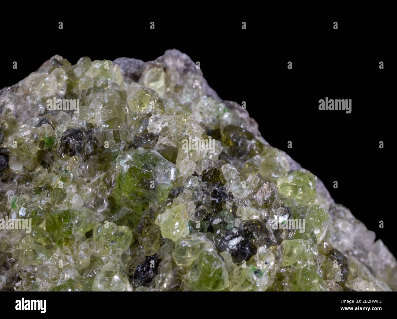 Olivine peridot extreme Makro-Nahaufnahme vor schwarzem Hintergrund. Stockfoto