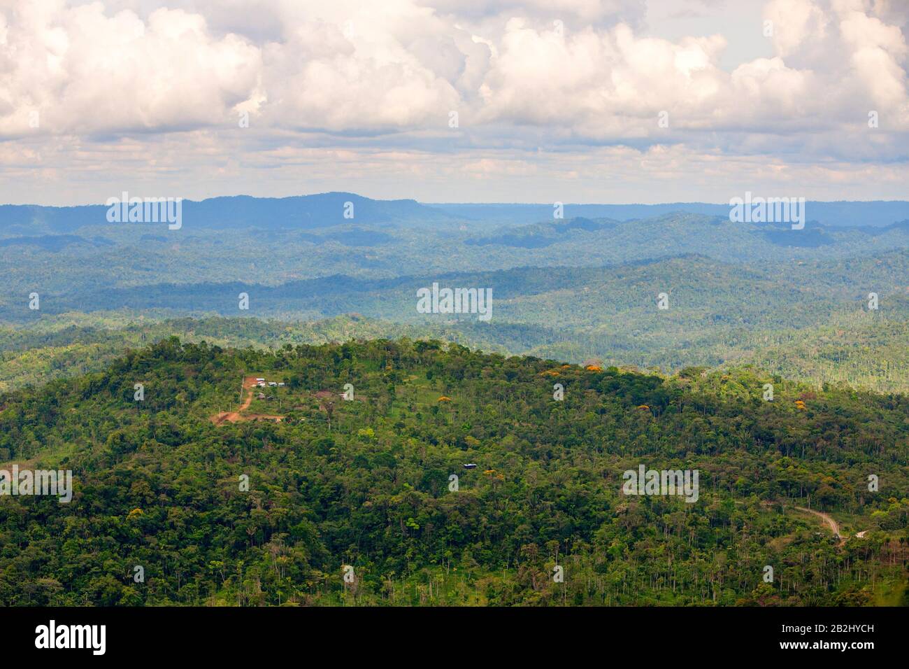 Ecuadorianische Teil des Amazonasbeckens Höhepunkt der Beobachtung Stockfoto