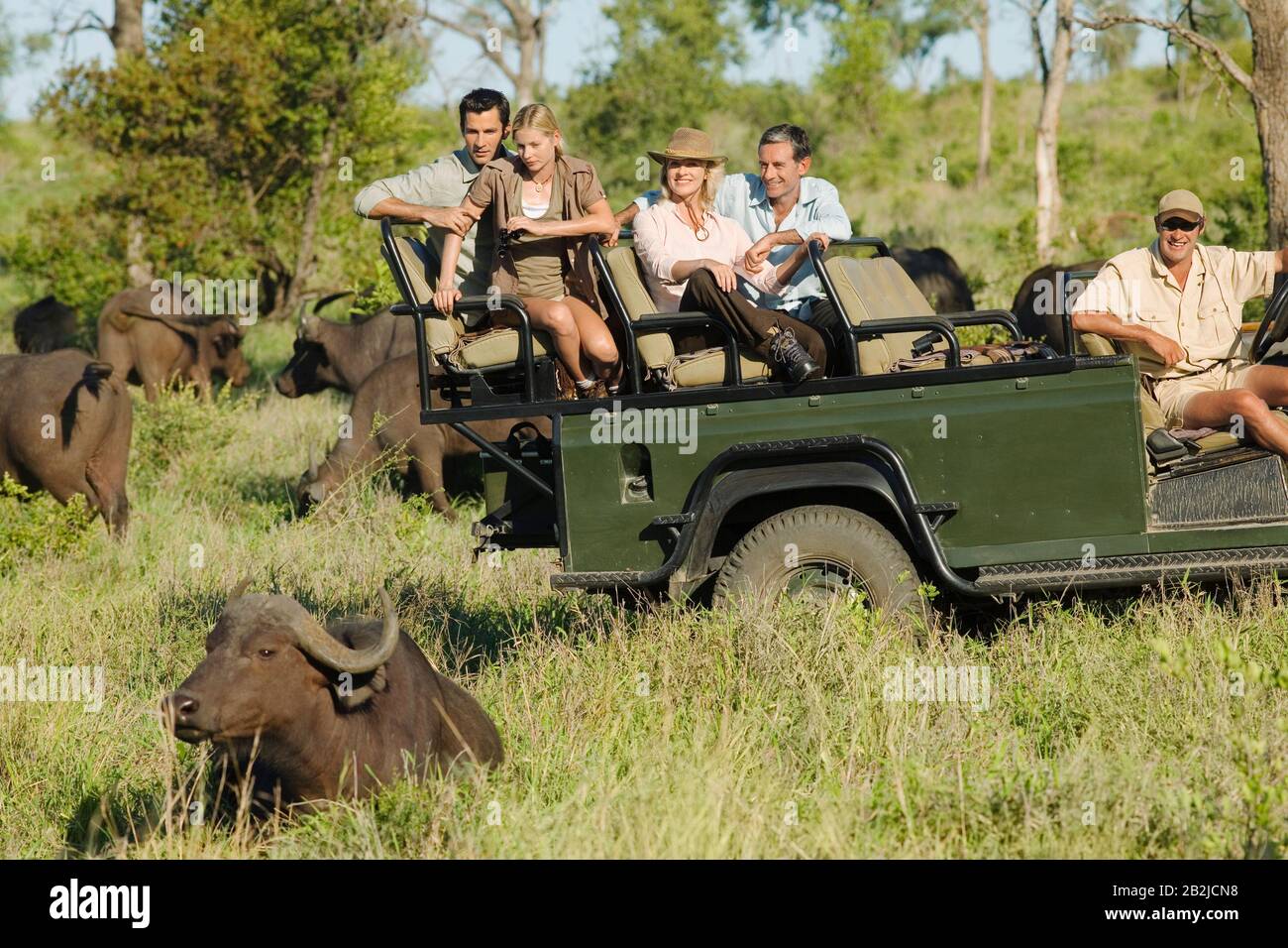 Gruppe von Touristen in Jeep, die afrikanische Büffel betrachten (Syncerus Caffer) Stockfoto