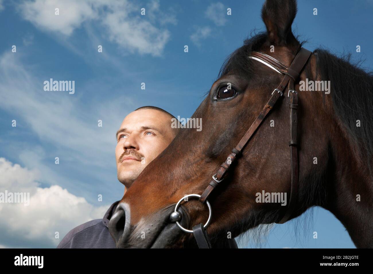 Mann mit Pferd Stockfoto