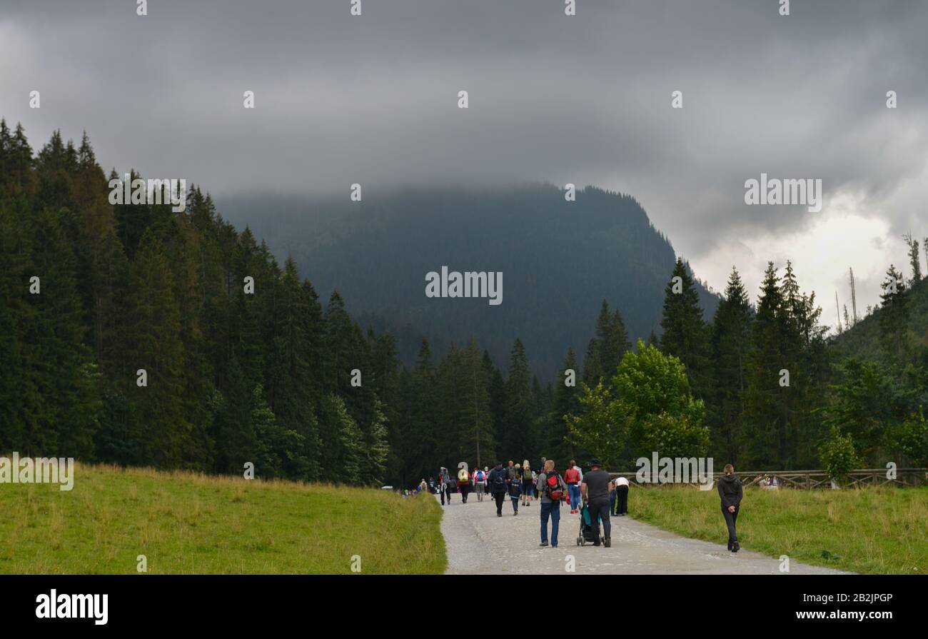 Wanderer, Bergalm, Dolina Koscieliska, Hohe Tatra, Polen Stockfoto