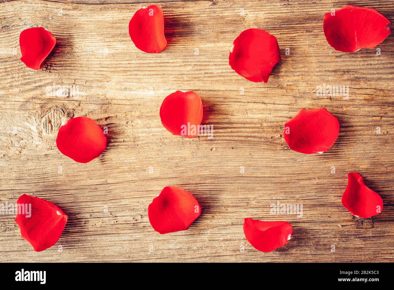 Ein Hipe aus scharlachroten Rosenblättern für das Valentinstagornamentkonzept mit Holzhintergrund. Liebe und Romantik Stockfoto