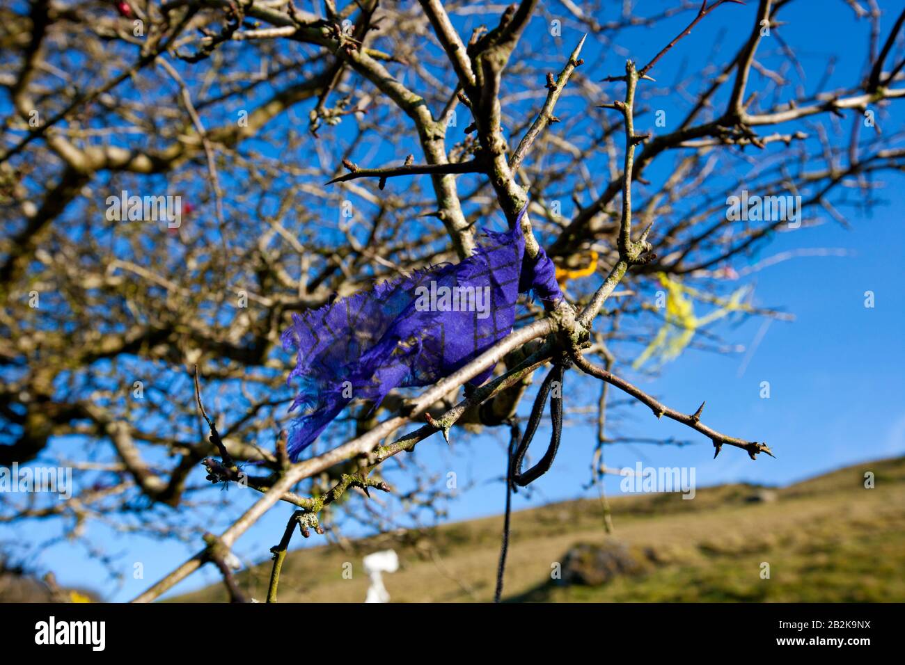 Feenbaum in Loughcrew Cairn T, Irland Stockfoto