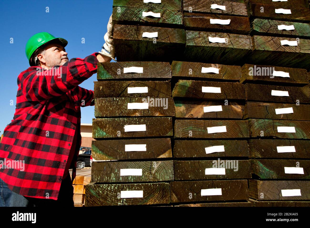 Arbeiter inspizieren Holz vor Hartholzhaufen Stockfoto