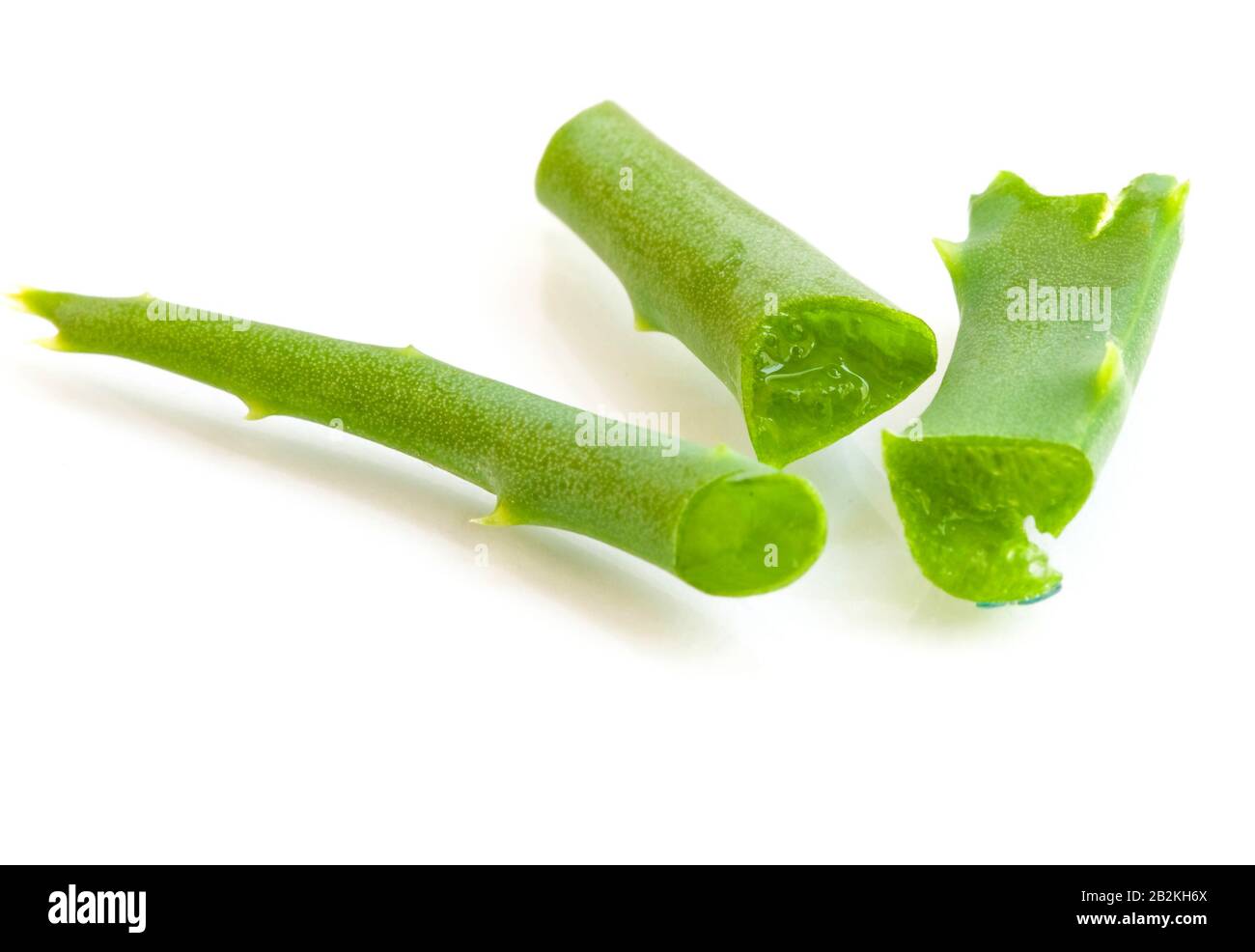 Aloe Vera kleine Stücke schließen sich in der Regel als Heilpflanze verwendet Stockfoto