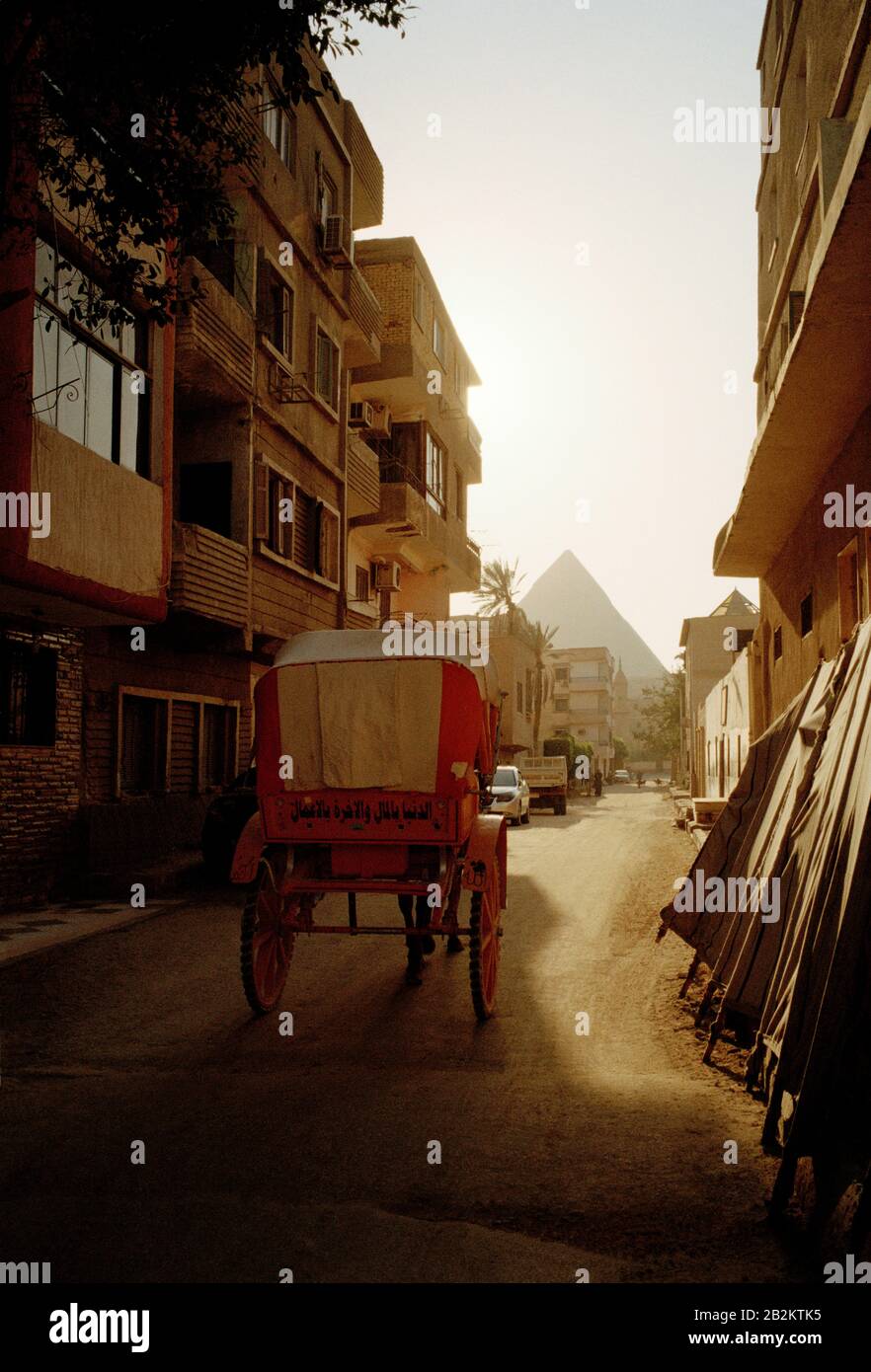 Reisefotografien - das Viertel Gizeh und die große Pyramide Cheops oder Khufu in Gizeh Kairo in Ägypten im Nahen Osten Nordafrikas Stockfoto