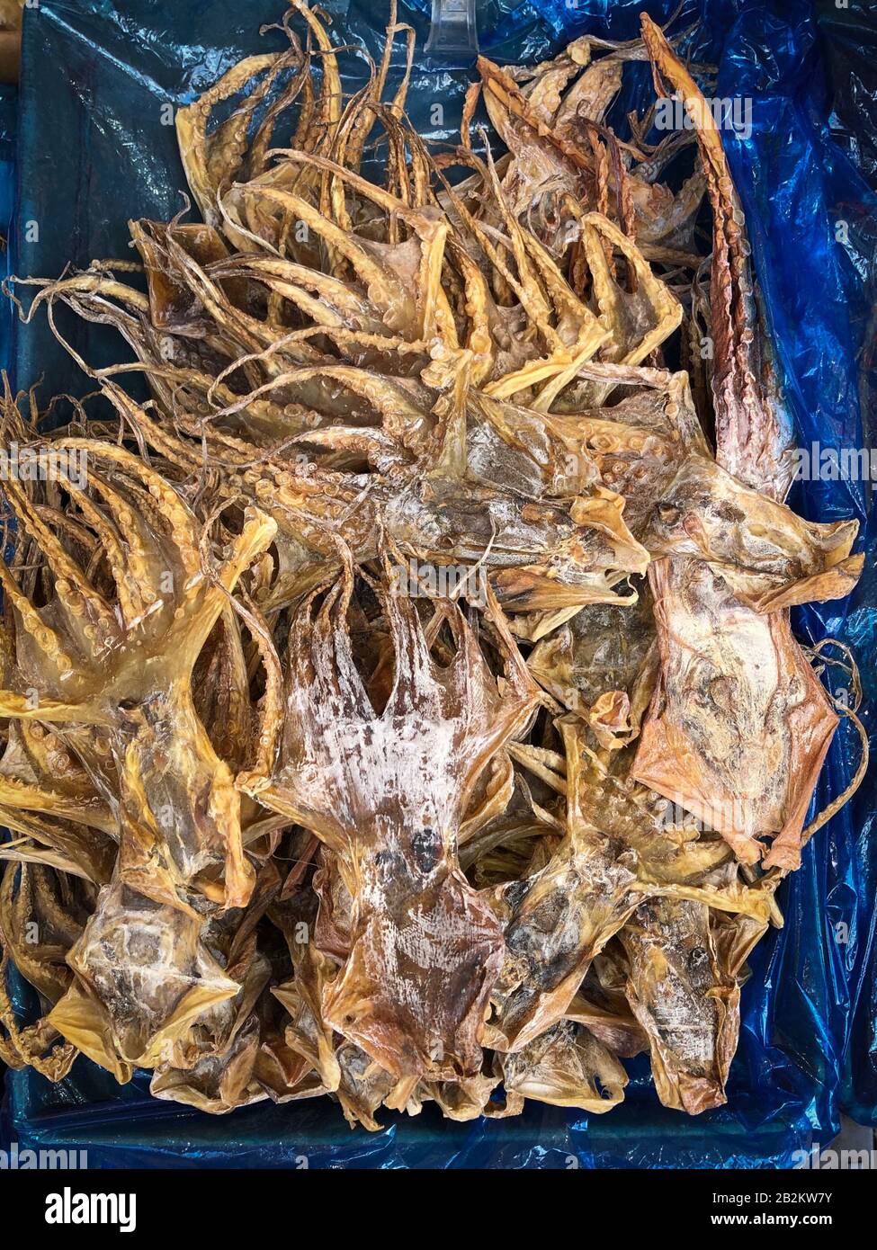 Getrocknetes Tintenfisch auf dem Lebensmittelmarkt in China, trockene Meeresfrüchte - Stockfoto