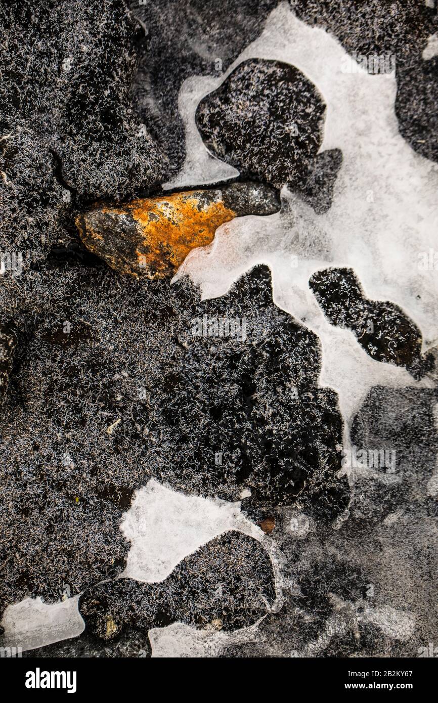 Gelber Punkt auf schwarzem und weißem Felsen Stockfoto