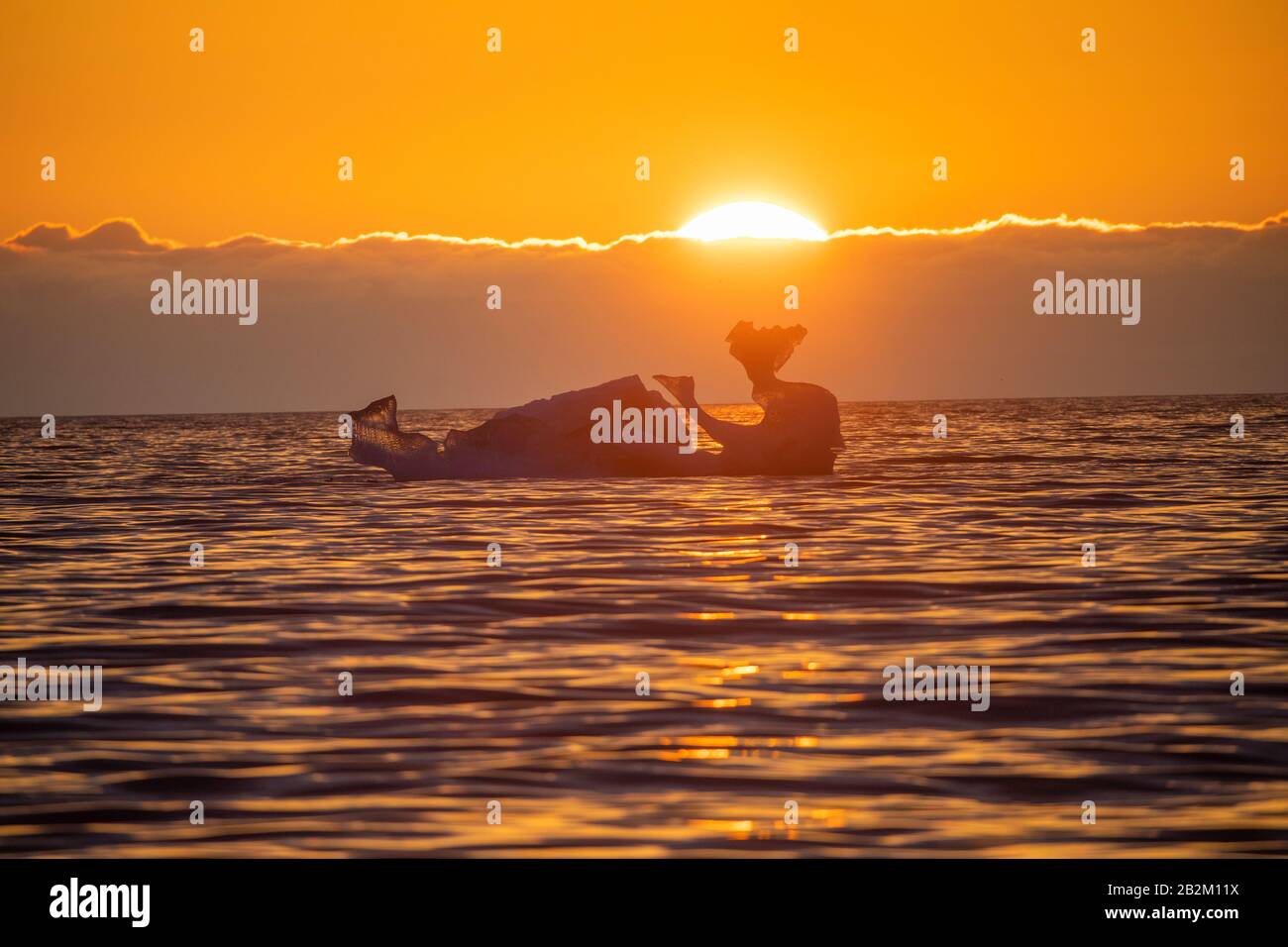 Schwimmendes Eis in Spitzbergen, schmelzende Gletscher Stockfoto