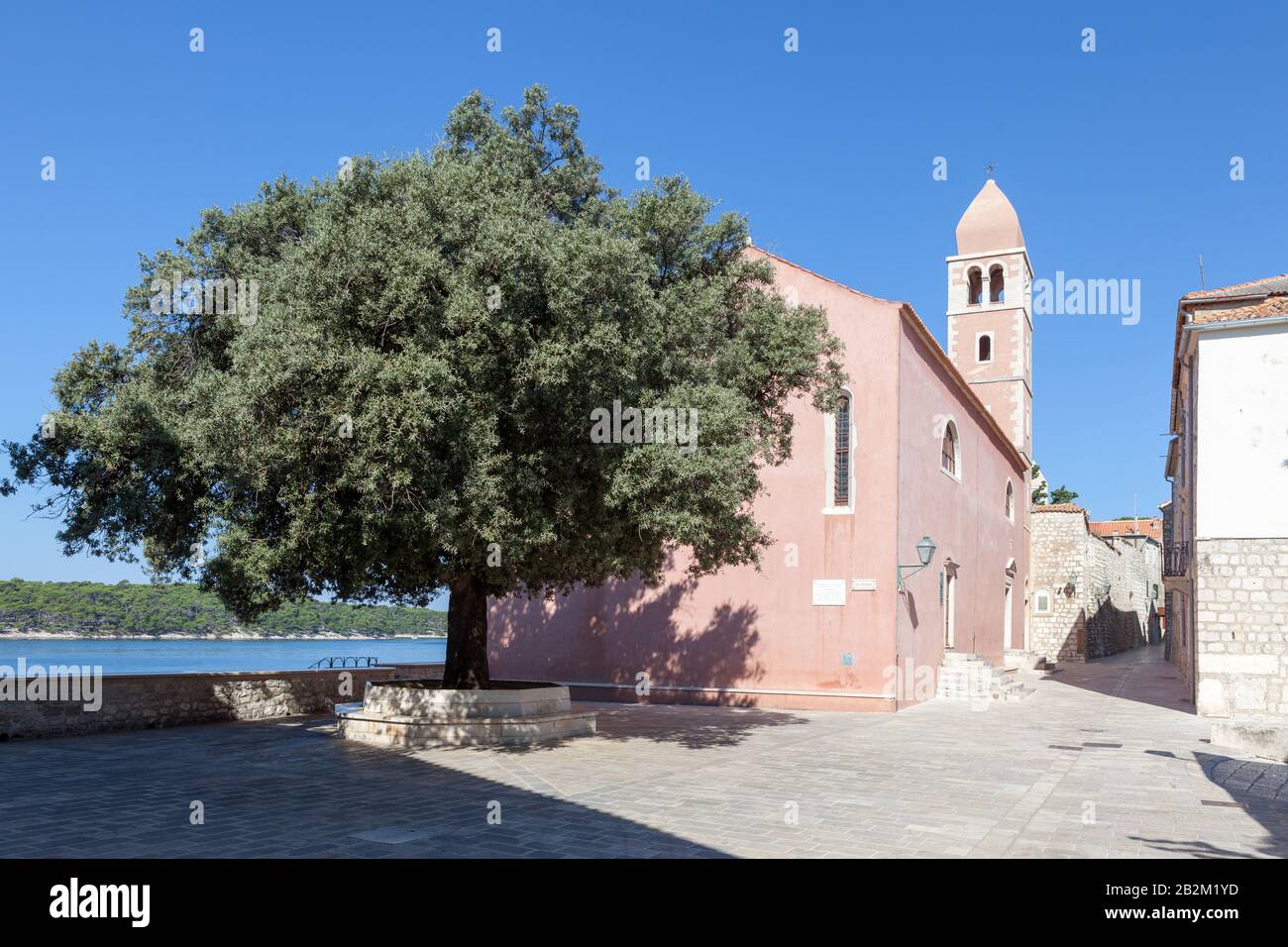 Kirche St. Justine (Crkva Svete Justine) und der Baum Der Freiheit, eine große Steineiche in Trg Slobode. Rab, Kroatien Stockfoto
