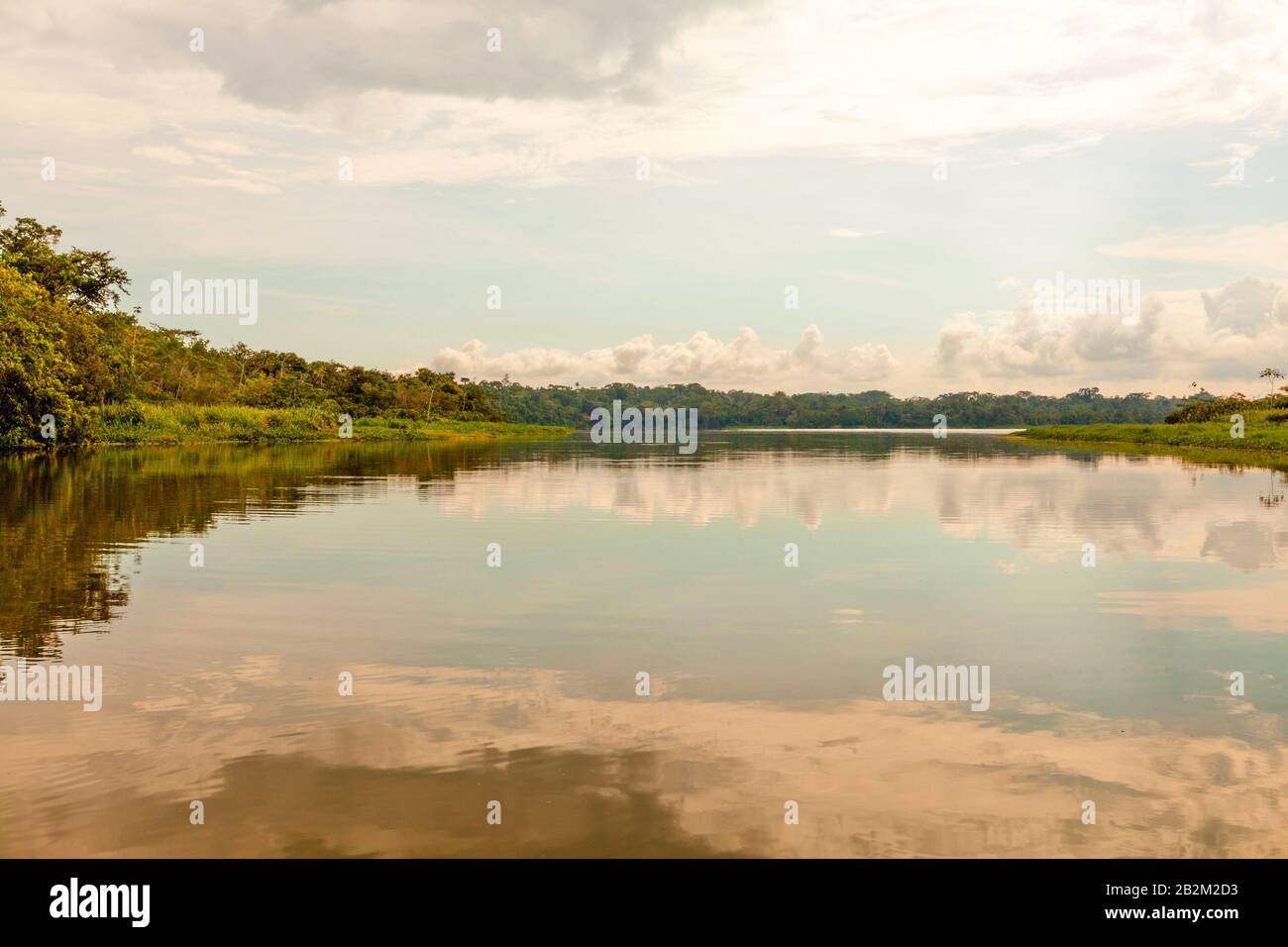 Limoncocha Lagune liegt am Rio Napo in Ecuador eine F der beste Ort für die Vogelbeobachtung Stockfoto