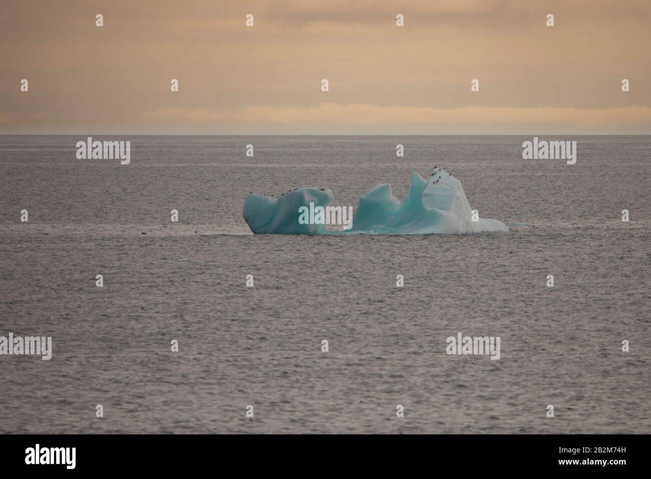 Schwimmendes Eis in Spitzbergen, schmelzende Gletscher Stockfoto