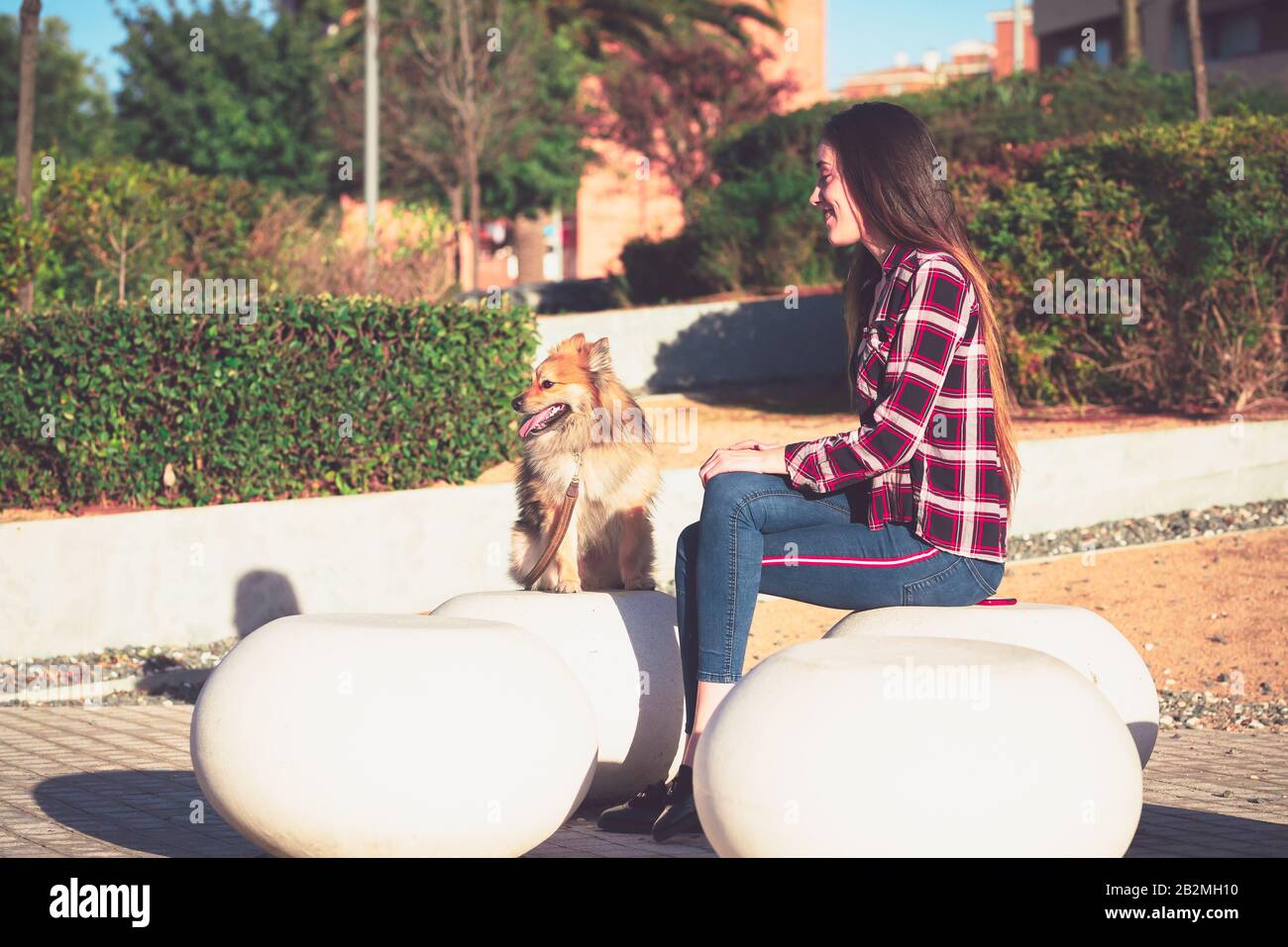 Junge Frau, die mit einem schönen Hund sitzt Stockfoto