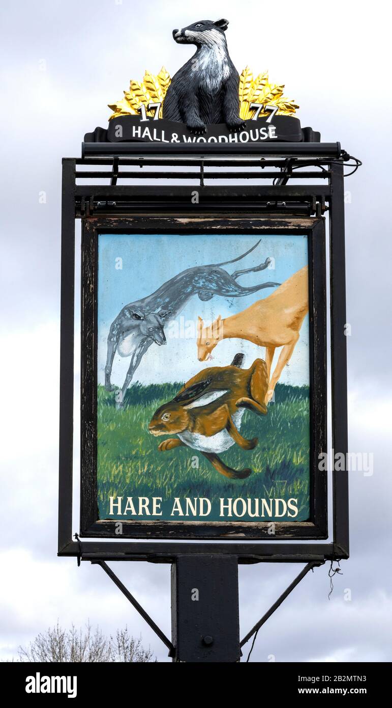 Hängendes Pub-Schild bei Hare and Hounds a Hall & Woodhouse Public House, Durnstown, Sway, New Forest, Brockenhurst, Hampshire, England, Großbritannien Stockfoto