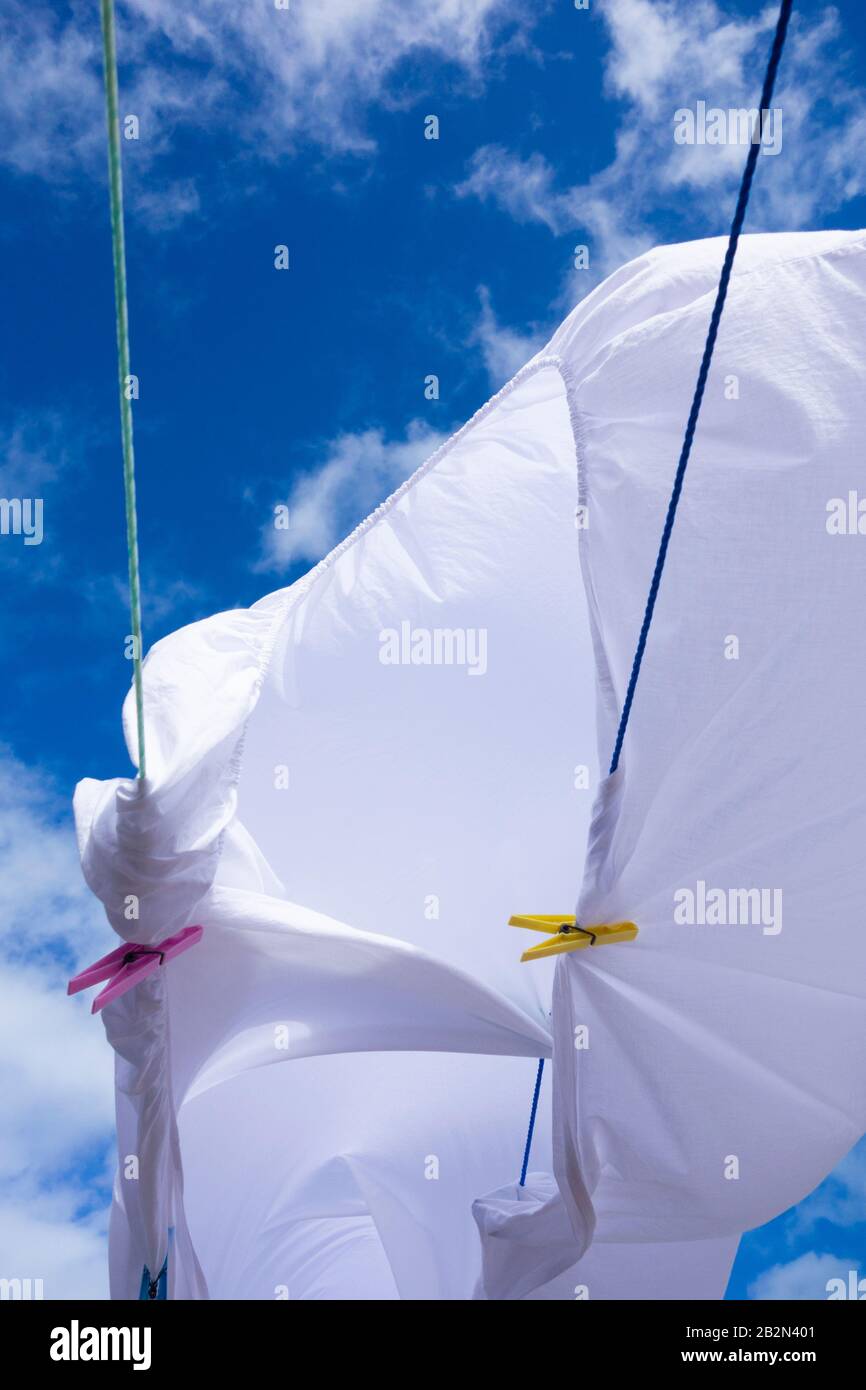 Weißes Blatt, das auf der Wäscheleine im Wind weht. Stockfoto