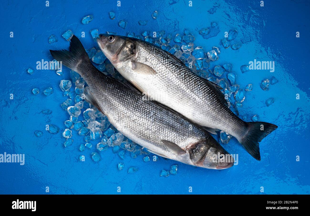 Fisch auf Eis auf blauem Hintergrund, Draufsicht Stockfoto