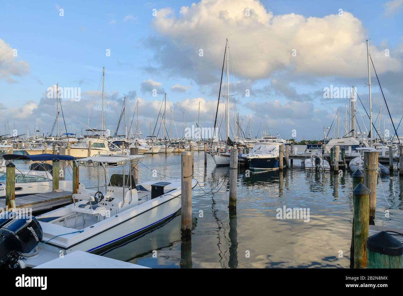 Miami, Downtown, Fl, Usa Stockfoto