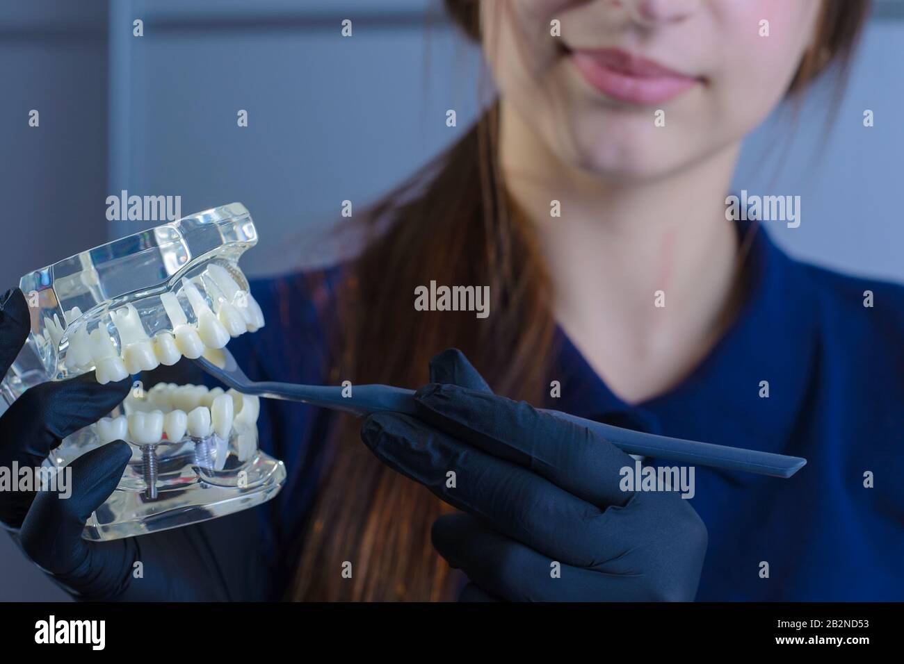 Nahaufnahme eines Zahnarztarztes, lächelnd, mit Handschuhen, in der Hand ein zahnmedizinisches Instrument zur Untersuchung und eine Attrappe menschlicher Kiefer auf t Stockfoto