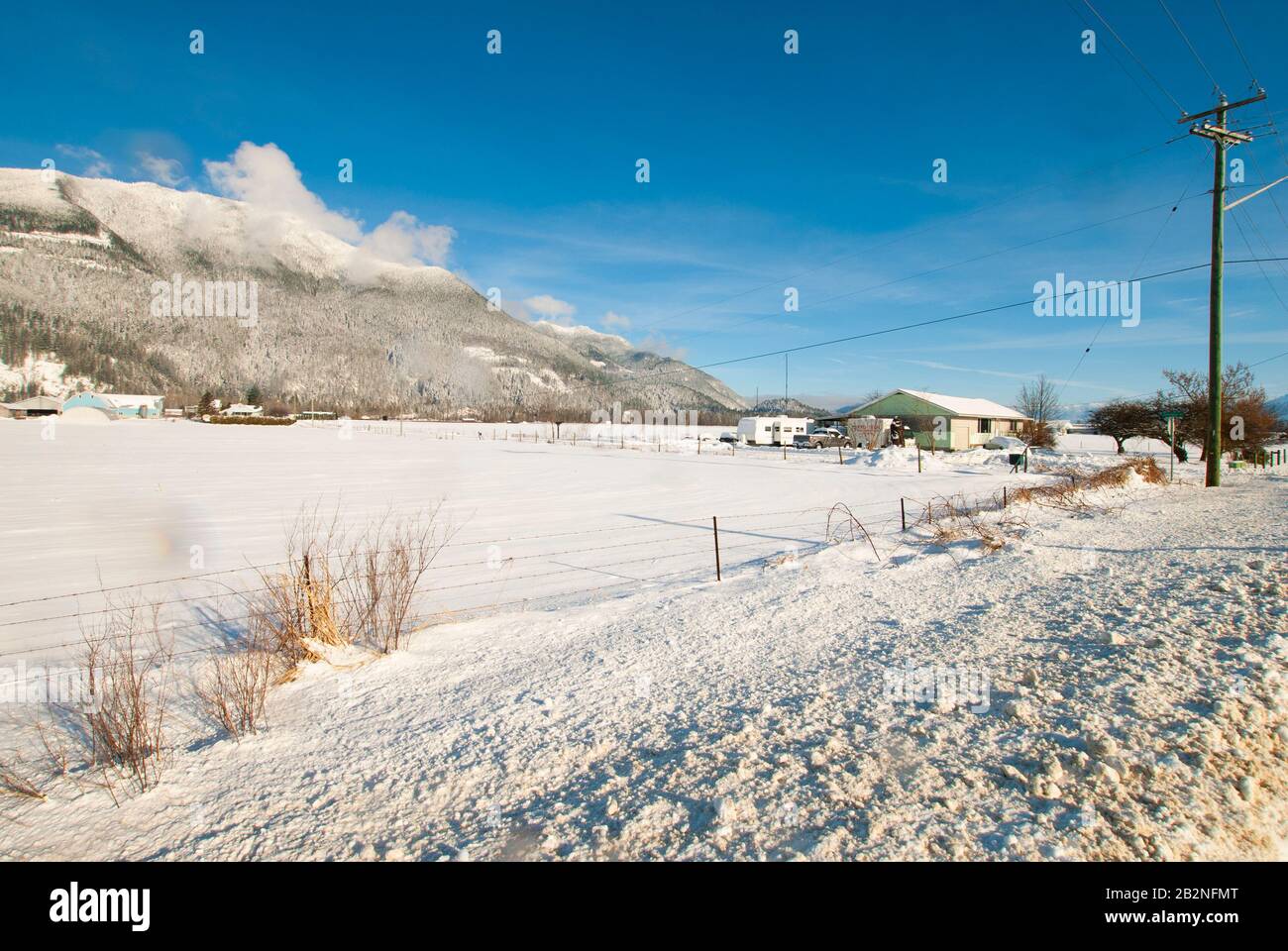 Winter auf Nicomen Island, British Columbia, Kanada Stockfoto