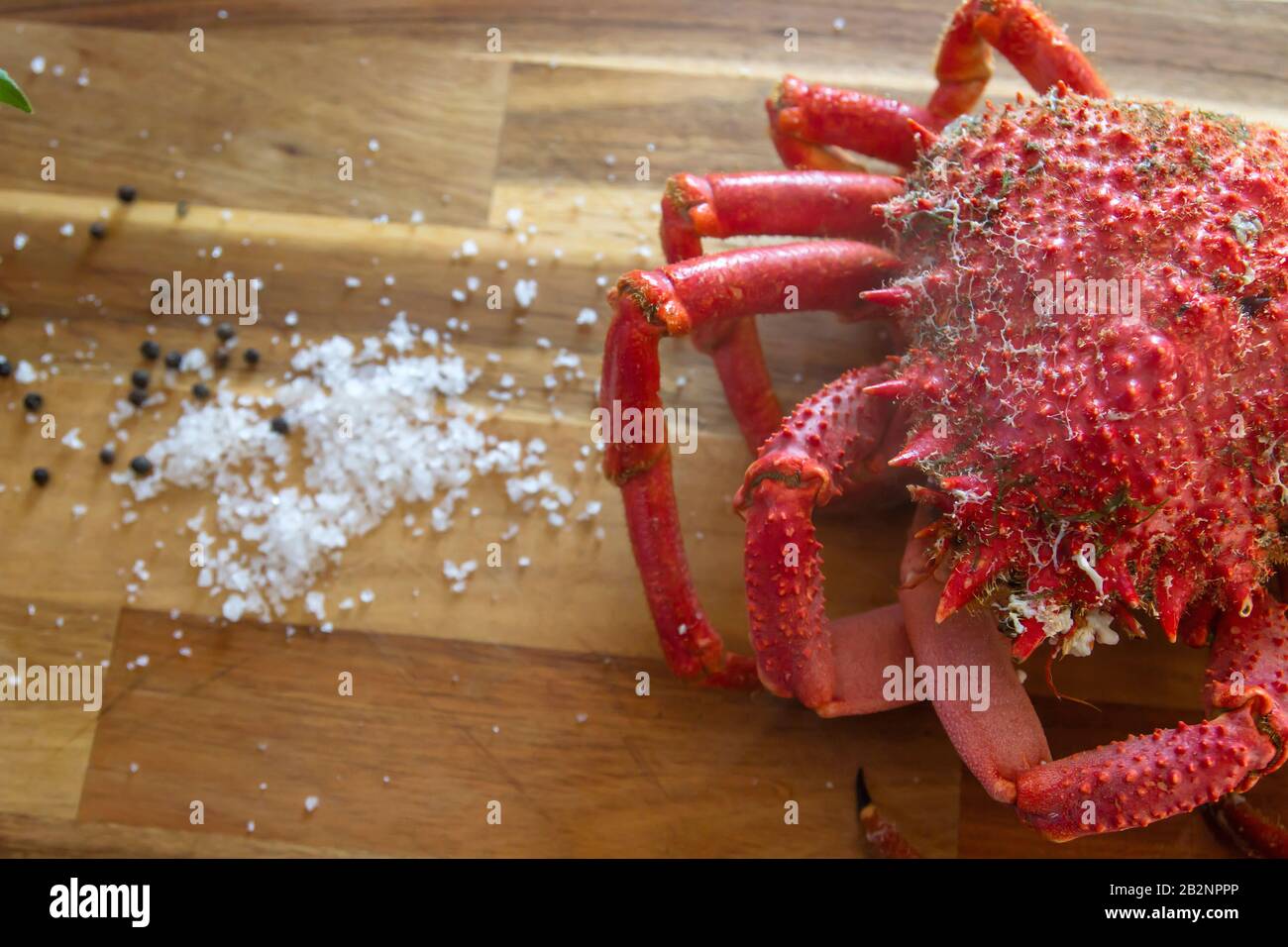 Rote Stachelspinnen Krabbe, köstliche Meeresfrüchte Zubereitung Stockfoto