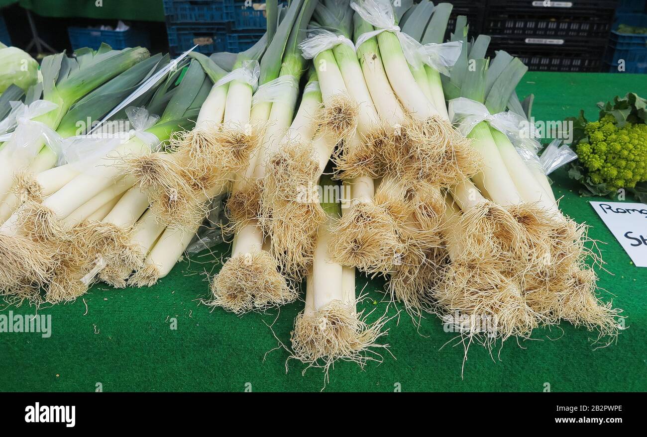 Nahaufnahme von Flor Leeks (allium porrum) am holländischen Marktstand auf grünem Tisch - Niederlande Stockfoto