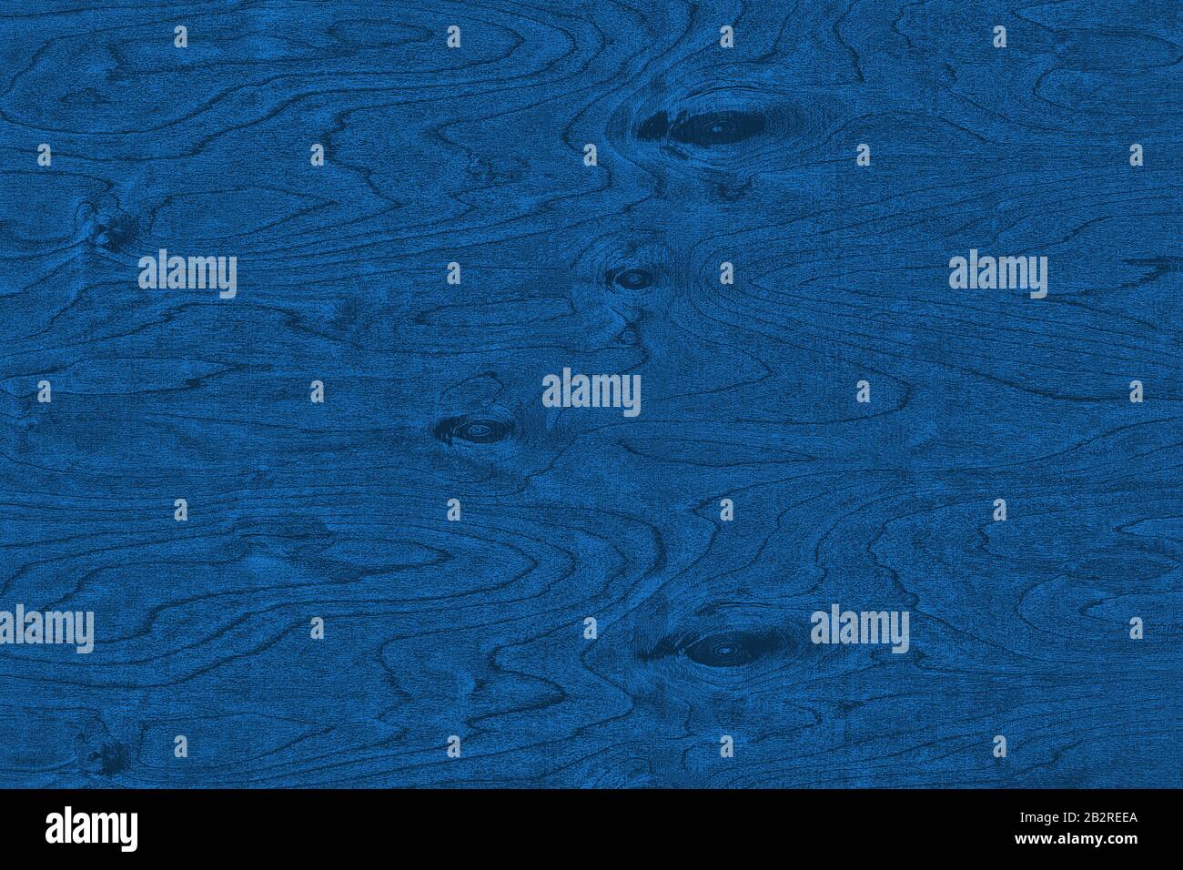 Blauer Hintergrund. Die Textur des natürlichen Birkenfurniers mit Knoten in Pantone klassisch blau. Farbe des Jahres 2020. Stockfoto