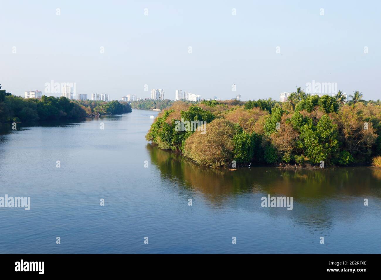 Mangrovenwald mit See und Hintergrund der Stadt Blick, kerala kochi Stockfoto