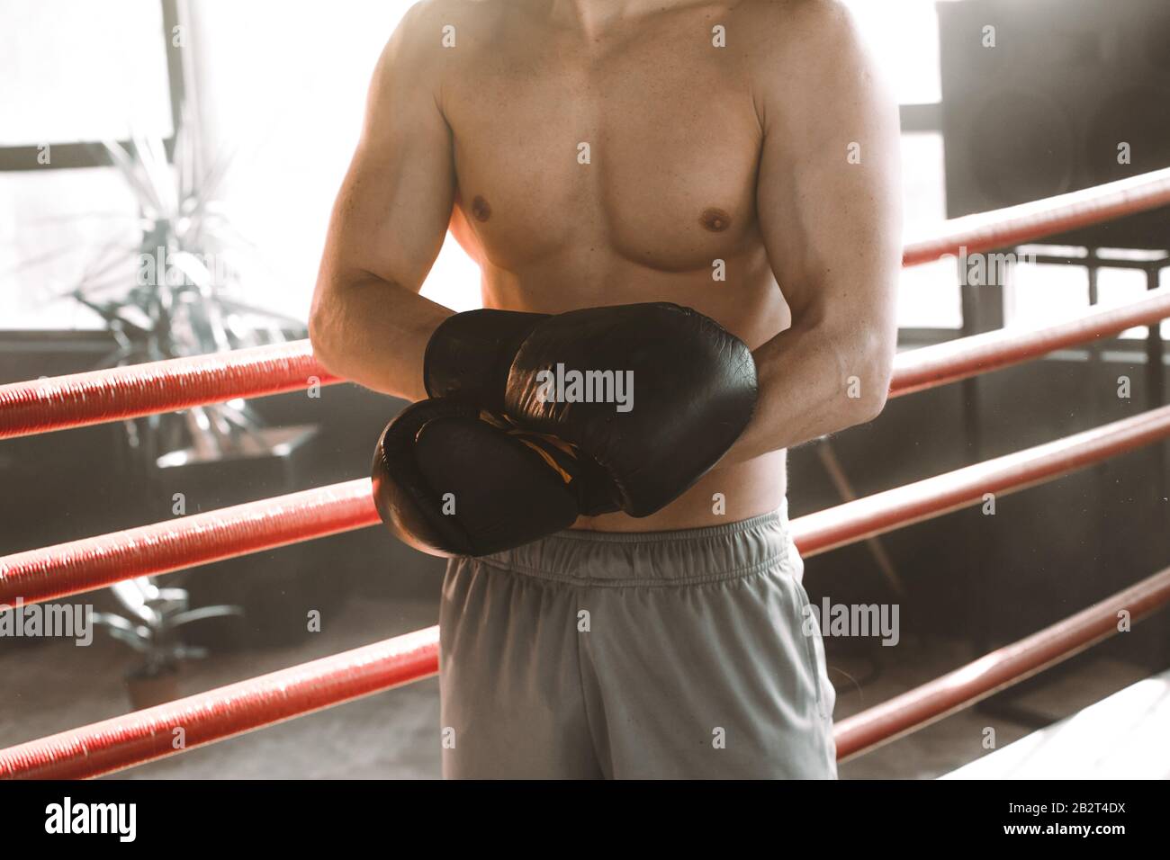 Boxen und Sportkonzept. Sportboxer mit Lederausstattung im Boxring. Boxer  trgt Boxhandschuhe Bild ohne Gesicht Stockfotografie - Alamy