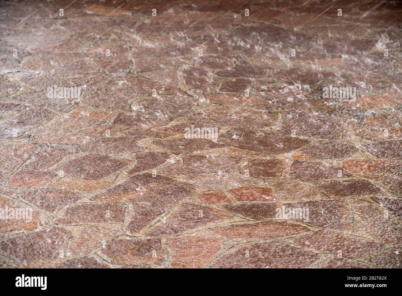 Autostrada del Brennero A22 Station Po est in Bagnolo San Vito, Lombardei, Italien. August 2019 © Wojciech Strozyk / Alamy Stock Photo Stockfoto