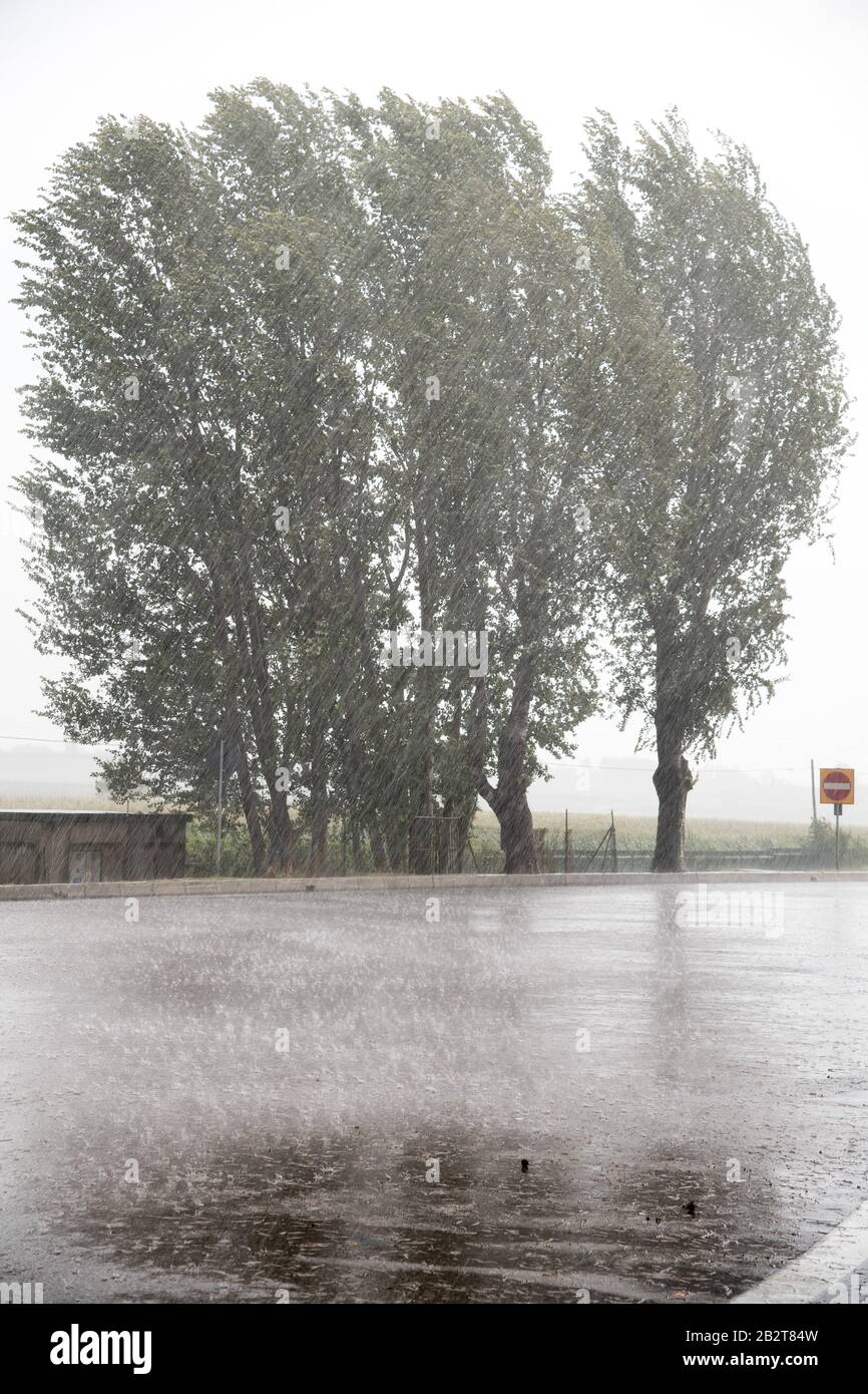 Autostrada del Brennero A22 Station Po est in Bagnolo San Vito, Lombardei, Italien. August 2019 © Wojciech Strozyk / Alamy Stock Photo Stockfoto