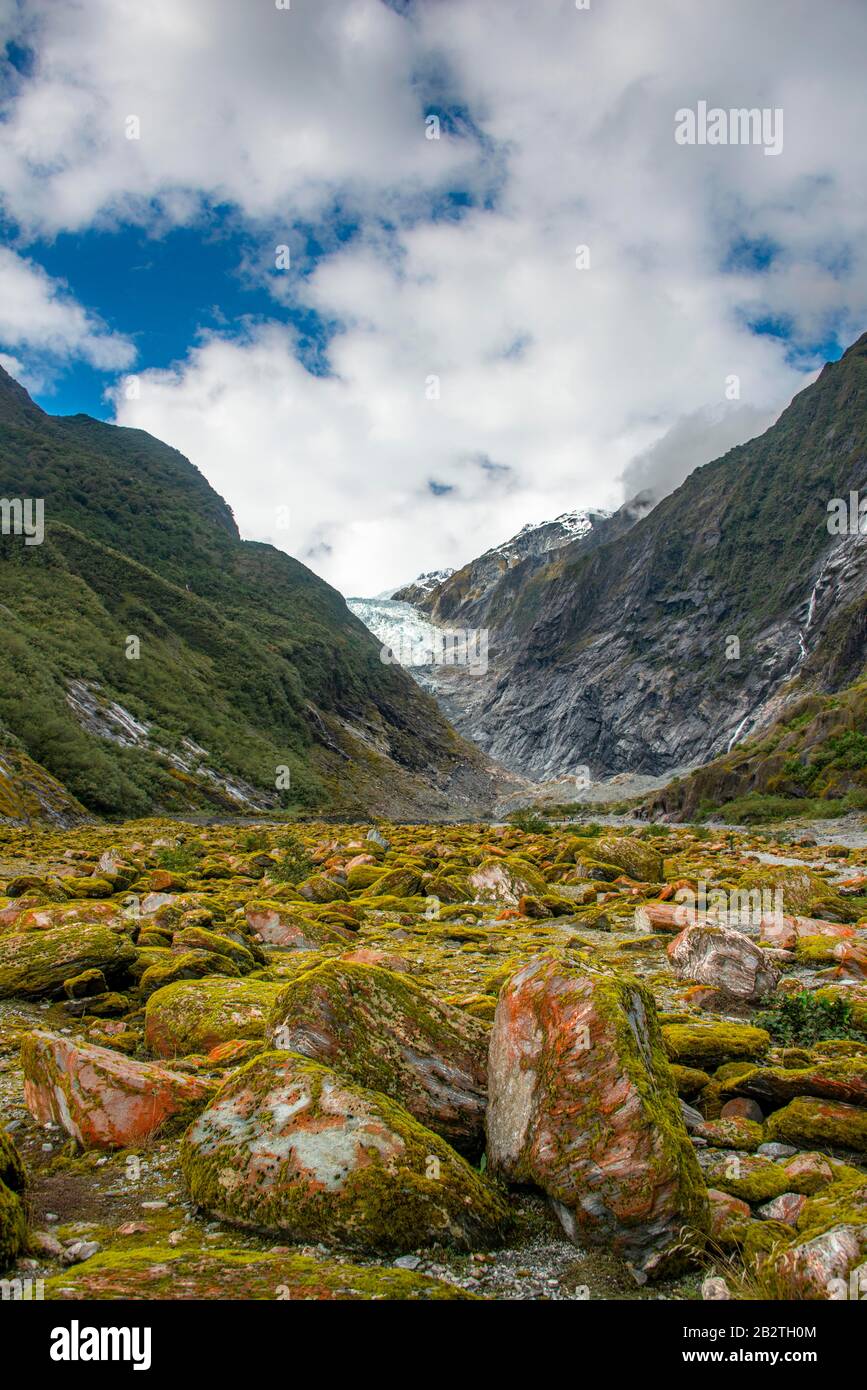 Felsen mit Moos und roten Flechten, in der hinteren Gletscherzunge des Franz-Josef-Gletschers, Westküste, Südinsel, Neuseeland Stockfoto