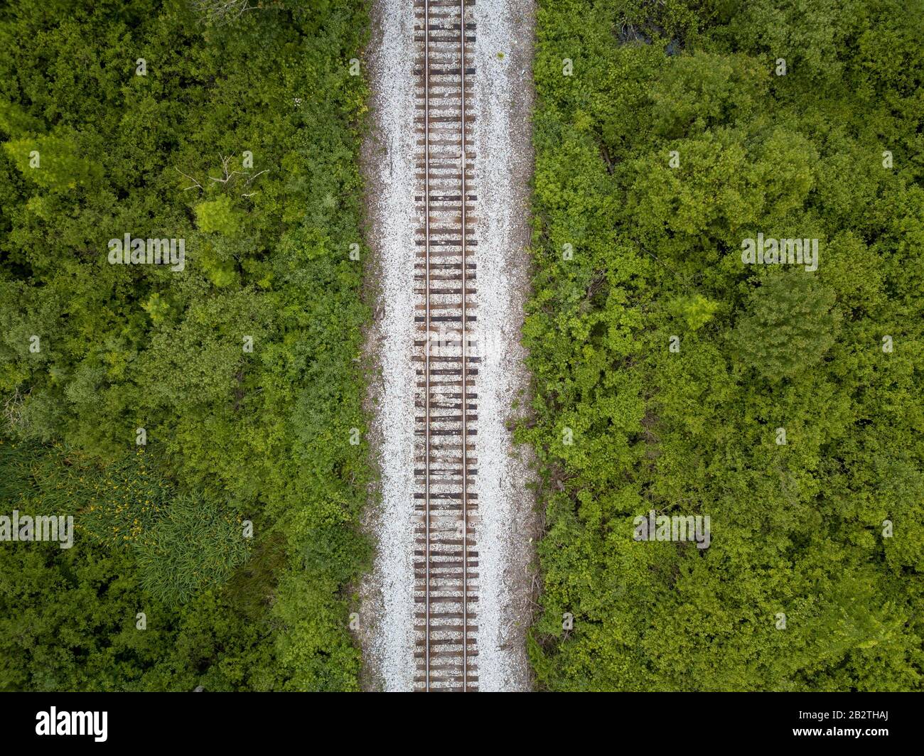 Fisher Pines Natural Area State Park, Batten Kill Old Railway Line, Vermont, USA Stockfoto
