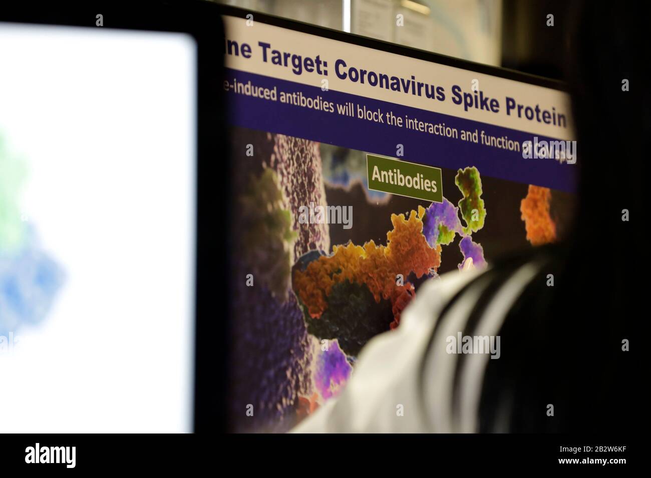 Modell eines Coronavirus-Spike-Proteins auf einem Computerbildschirm als Präsident der Vereinigten Staaten Donald J. Trump am 3. März 2020 das Viral Pathogenesis Laboratory am National Institutes of Health ñ Vaccine Research Center in Bethesda, Maryland, besichtigt. Kredit: Yuri Gripas/Pool über CNP /MediaPunch Stockfoto Modell eines Coronavirus-Spike-Proteins auf einem Computerbildschirm als Präsident der Vereinigten Staaten Donald J. Trump am 3. März 2020 das Viral Pathogenesis Laboratory am National Institutes of Health ñ Vaccine Research Center in Bethesda, Maryland, besichtigt. Kredit: Yuri Gripas/Pool über CNP /MediaPunch Stockfoto