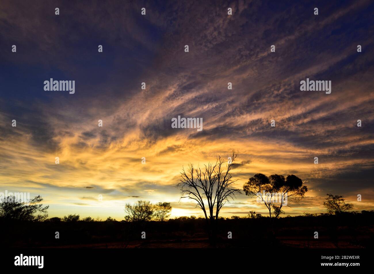 Markanter feuriger Himmel bei Sonnenaufgang, Northern Territory, NT, Australien Stockfoto