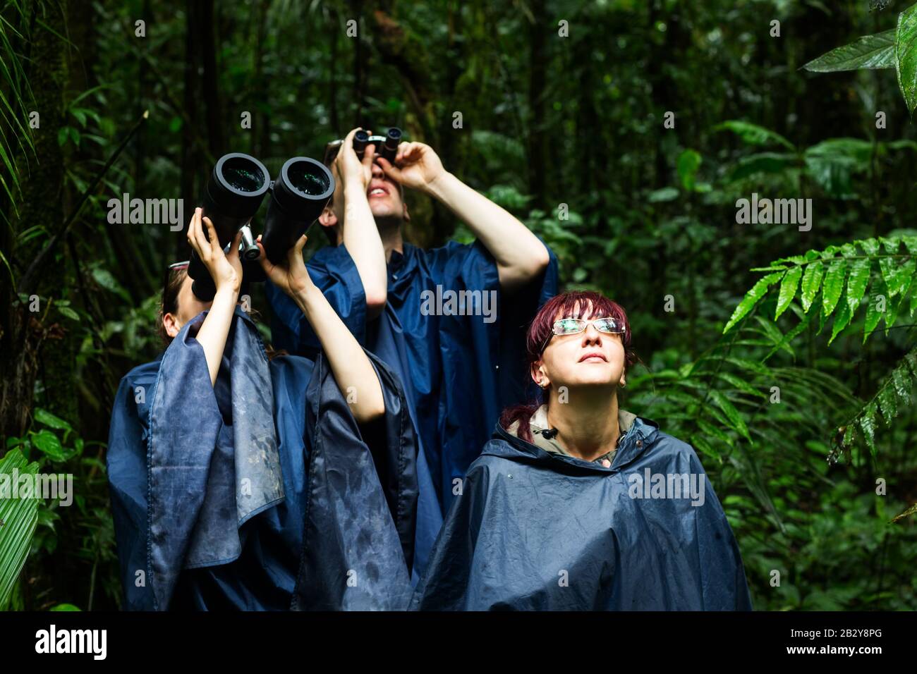 Eine Reisegruppe, Die Nach Tieren In Den Dschungel Rain Ponchos Und Mächtigen Ferngläsern Sucht, Ist Ein Muss Stockfoto