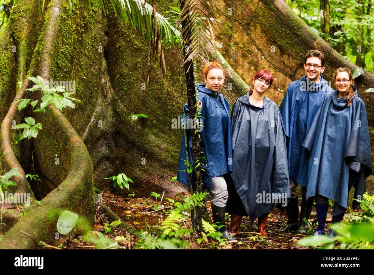 Eine Gruppe Von Vier Touristen Im Amazonas-Dschungel Gegen Riesige Ceiba Tree Rain Ponchos Und Gummistiefel Sind EIN Muss In Dieser Ecke der Natur Stockfoto