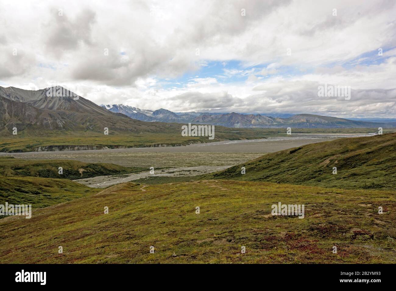 Fluss und die Hügel der Tundra in der Nähe von eielson im Denali Nationalpark in Alaska Stockfoto