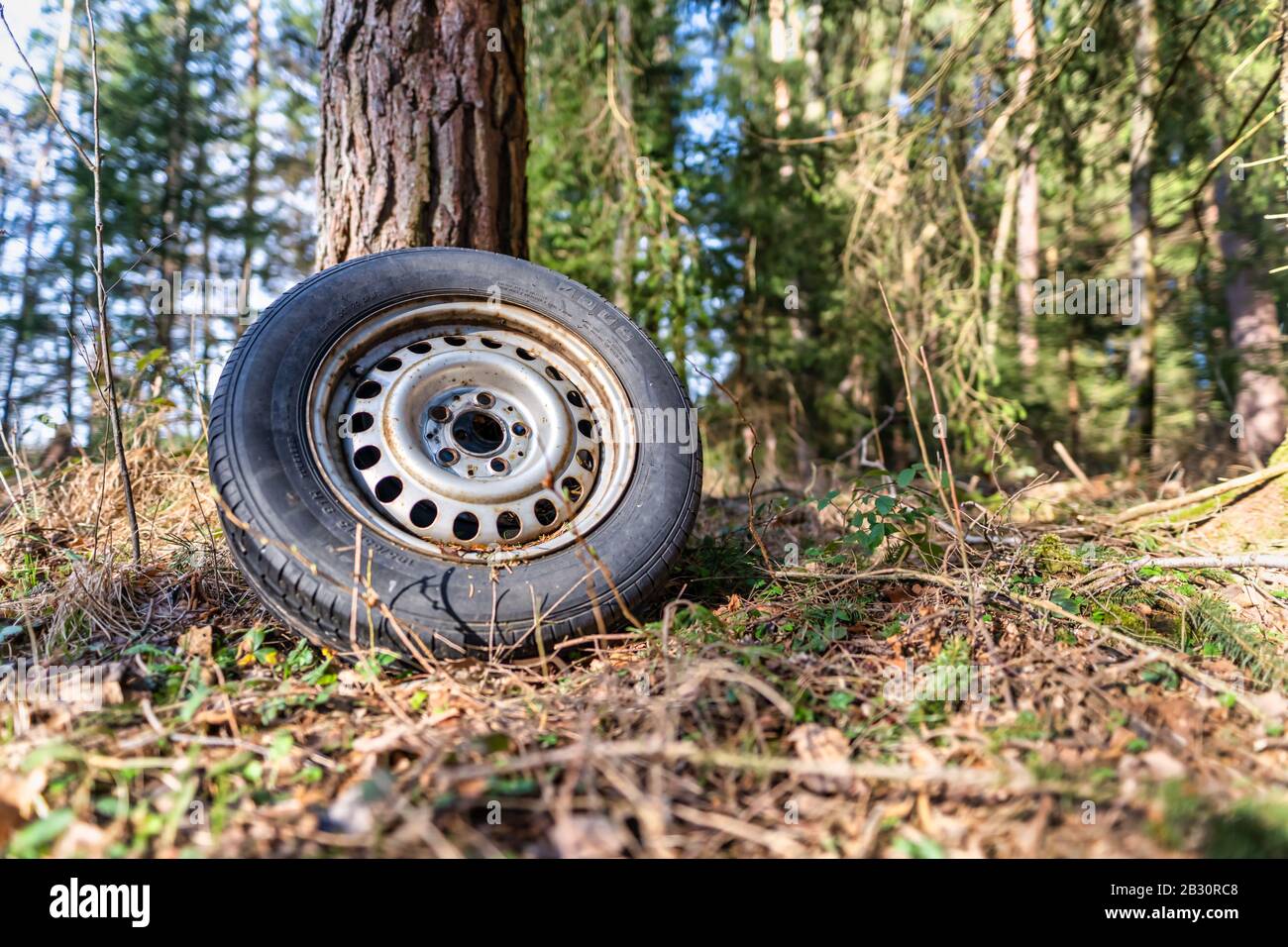 Umweltverfall in einem Wald, ein hinterer Reifen in reiner Natur. Stockfoto