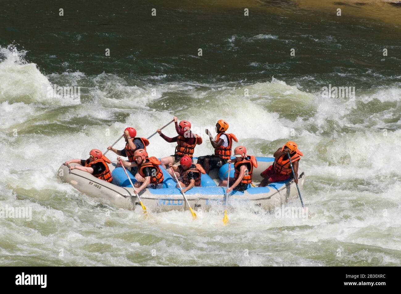 Wildwasser-Rafting auf dem Zambesi unterhalb des östlichen Katarakts der Victoria Falls, Livingstone, Sambia, Afrika Stockfoto